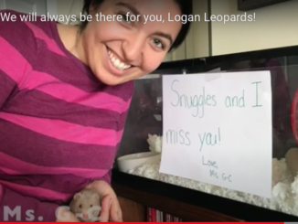 Logan staff miss the Leopards