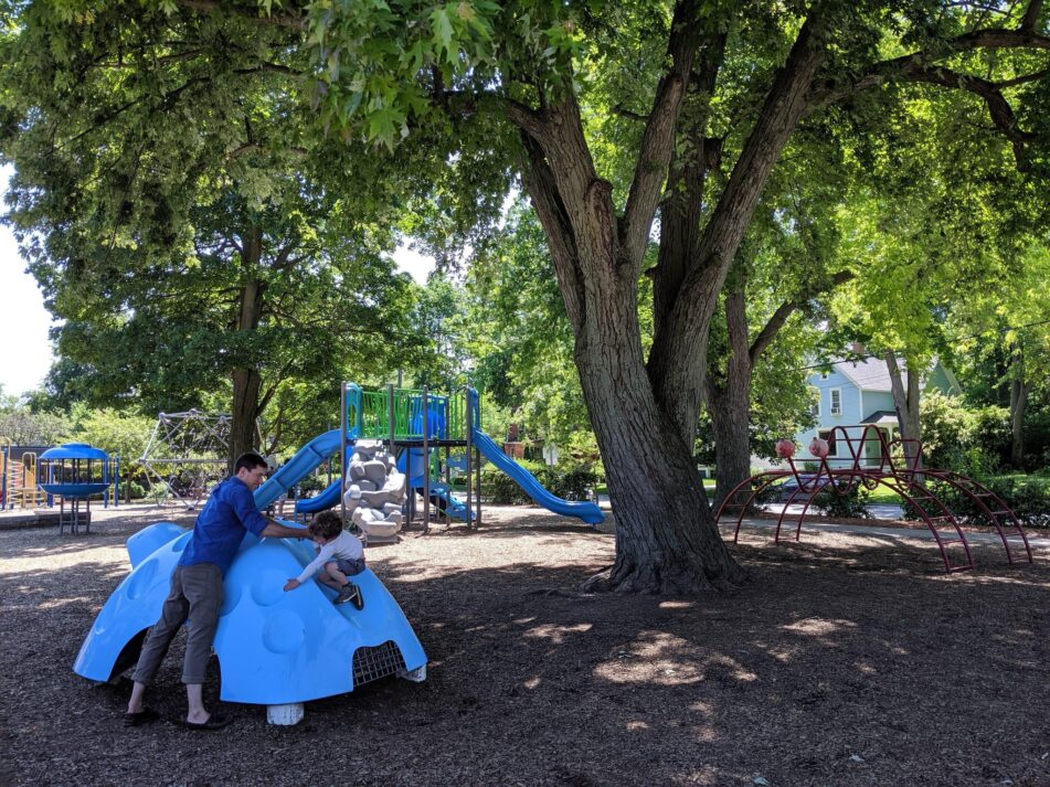 Photos show children on the Bach Elementary playground, with "Todd the Turtle"