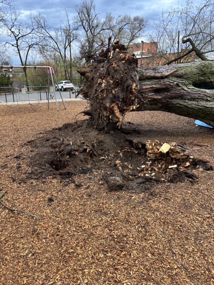 Photos show destruction left behind after Tuesday's EF-1 tornado passed through Ann Arbor