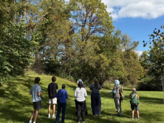Students and adults look up into trees at the Freeman Bioblitz