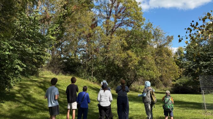 Students and adults look up into trees at the Freeman Bioblitz