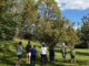Students and adults look up into trees at the Freeman Bioblitz
