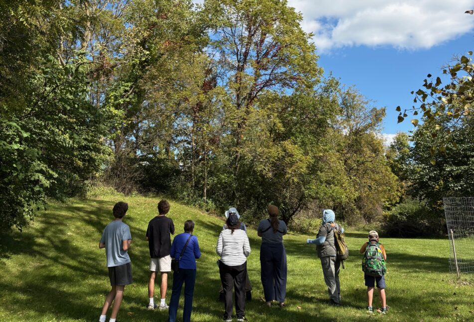 Students and adults look up into trees at the Freeman Bioblitz