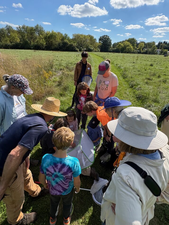 Students and adults examine what's in a butterfly net.