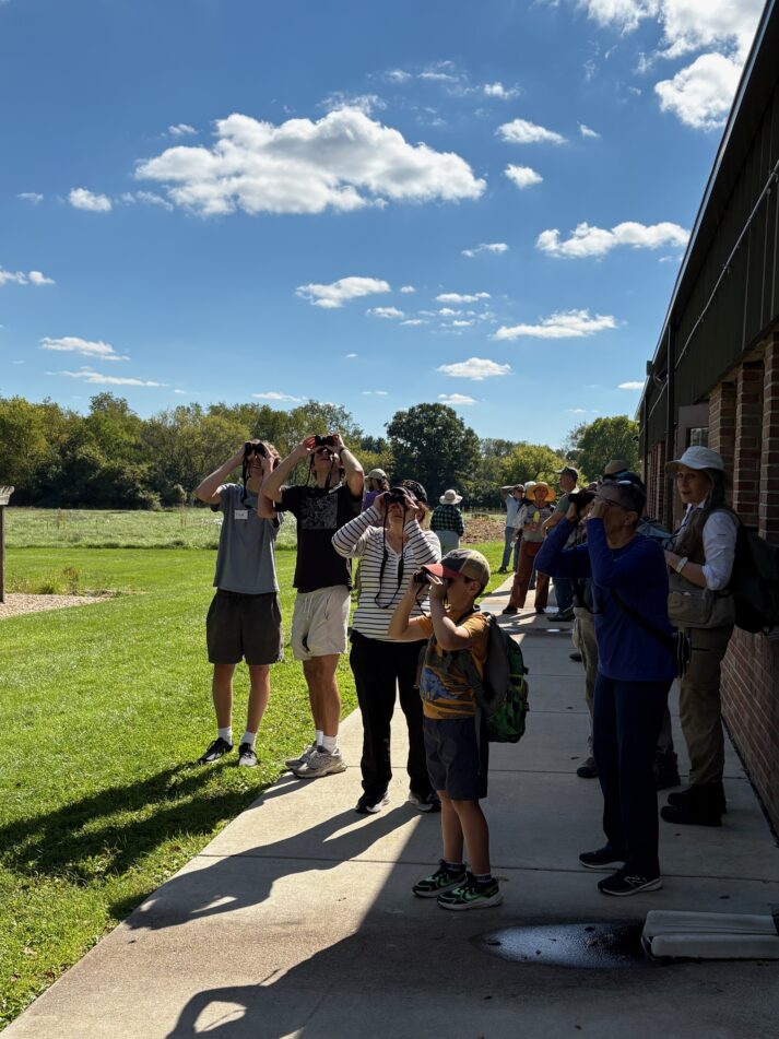 Students and adults use binoculars to examine what is in trees and flying at Freeman