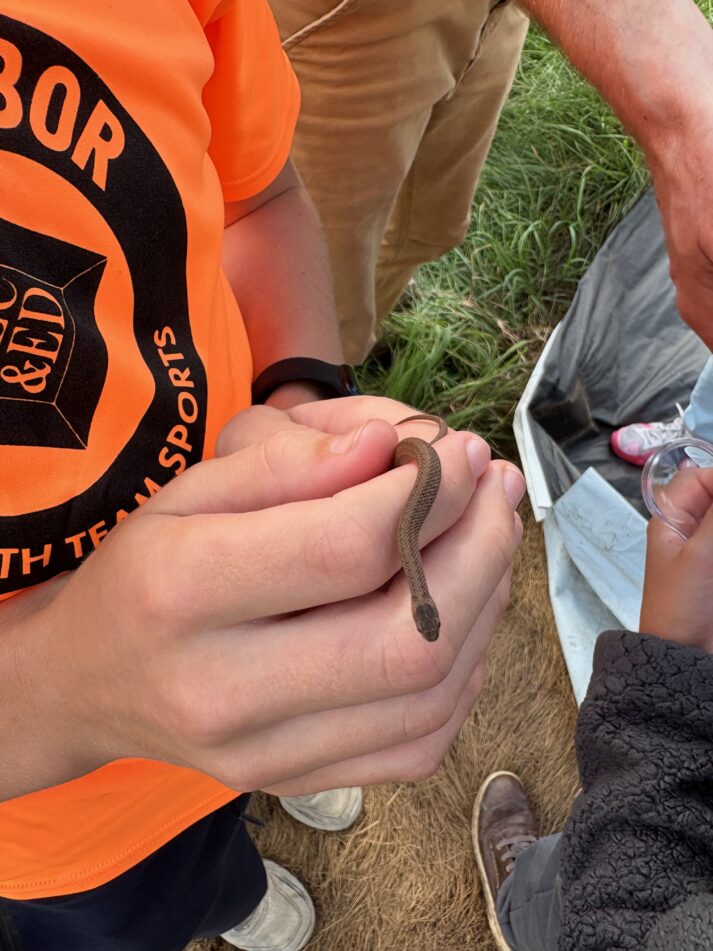 A student holds a small snake in his hands